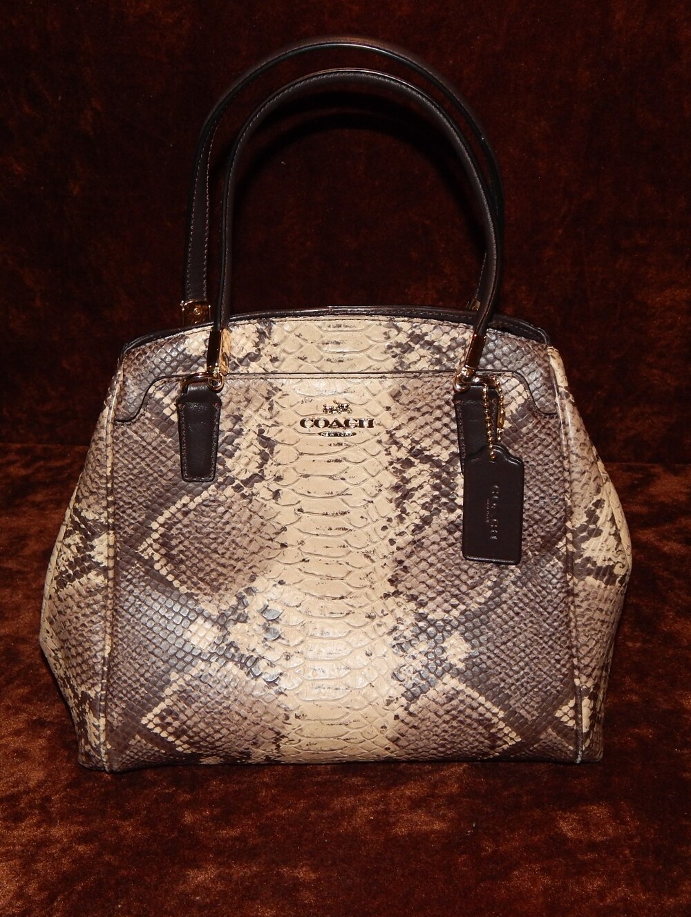 Coach Python-Embossed Satchel in Brown and Cream